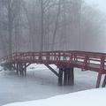 冰冷的雪霧與橋