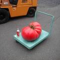 可怕的巨型蔬菜 - 紅蕃茄版