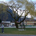 Harrison Hot Springs.