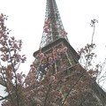 巴黎鐵塔 Eiffel Tower