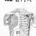 肺經脈 2、雲門穴b