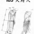 肺經脈 3、天府穴b