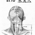  胃經脈 10、水突穴b