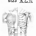  胃經脈 23、太乙穴b