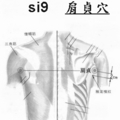   小腸經脈  9、肩貞穴b
