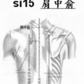   小腸經脈 15、肩中俞穴b