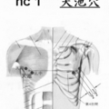 9、heart  constrictor  心包經脈 相片
