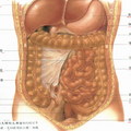 胃腸腹痛