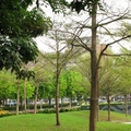 台北林森公園