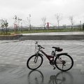春雨河邊 清明雨中單車閒行 - 15