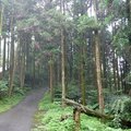 翠峰路登頂  初夏騎遇 - 18