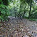 翠峰路登頂  初夏騎遇 - 19