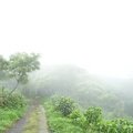 翠峰路登頂  初夏騎遇 - 21