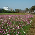 春遊潭雅神 與麥田美景相遇 - 14