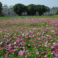 春遊潭雅神 與麥田美景相遇 - 15