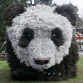 用稻草製作的大熊貓憨態可掬