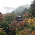 日本圓通寺