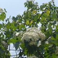 chiachia旅人集 - 1