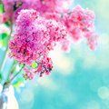 花間集 - 5
