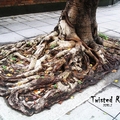 台北有好多老榕樹都被框了起來，大大的腳根那都不能去，這是台北的三寸金蓮綁腳版嗎？
