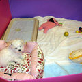 剛來家裡..麻咪幫寶貝準備的小幼幼套房..麻咪用紙版自己做的粉紅牆壁喔!
