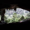 Niah Cave,(尼亞國家公園,Miri, Sarawak, Malaysia)