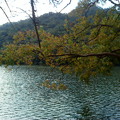 湖