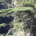 三清山-登山步道