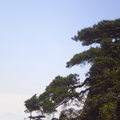 三清山-登山步道