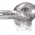 【 鴨兔，圖片來源：http://en.wikipedia.org/wiki/File:Duck-Rabbit_illusion.jpg 】