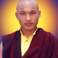 大寶法王噶瑪巴2008年桌曆