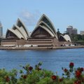 這是有名的雪梨歌劇院，和雪梨大橋