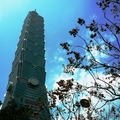 陽光燦爛的Taipei  101 - 5