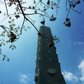 陽光燦爛的Taipei  101 - 4