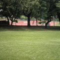 校園綠坡地