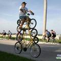 自行車新騎法