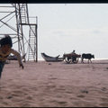 1981-1982菊島62