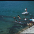 1981-1982菊島64