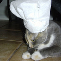 派我去做飯嗎？趕貓去厨房和趕鴨子上架一樣的。
