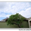 06. Bali Bliss Villa-Villa的游泳池畔