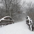 雪與橋3