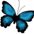 Blue Butterfly+右