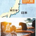 日本田代島的貓，居民刻意不養狗、漁夫到岸就賞大餐，隻隻福態。圖／簡佩玲提供