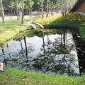 花博新生三館的水花園（生態池）。記者潘俊宏／攝影