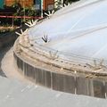 花博新生三館的特殊造型屋頂及集水溝，都有收集雨水的功能。記者潘俊宏／攝影
