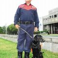 屏東縣唯一通過高級救災檢定的搜救犬，目前受階兩線三，比負責照顧他的分隊長陳光明還高。記者翁禎霞／攝影