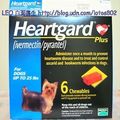犬心絲蟲藥：每月食用一錠「Heartgard犬新寶」。