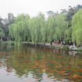 杭洲西湖2