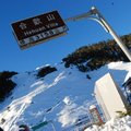 合歡山之旅