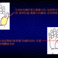 手相命理